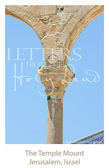 /wp-content/uploads/Letters/LetterOnly/Y-06_Temple Mount_2019.png